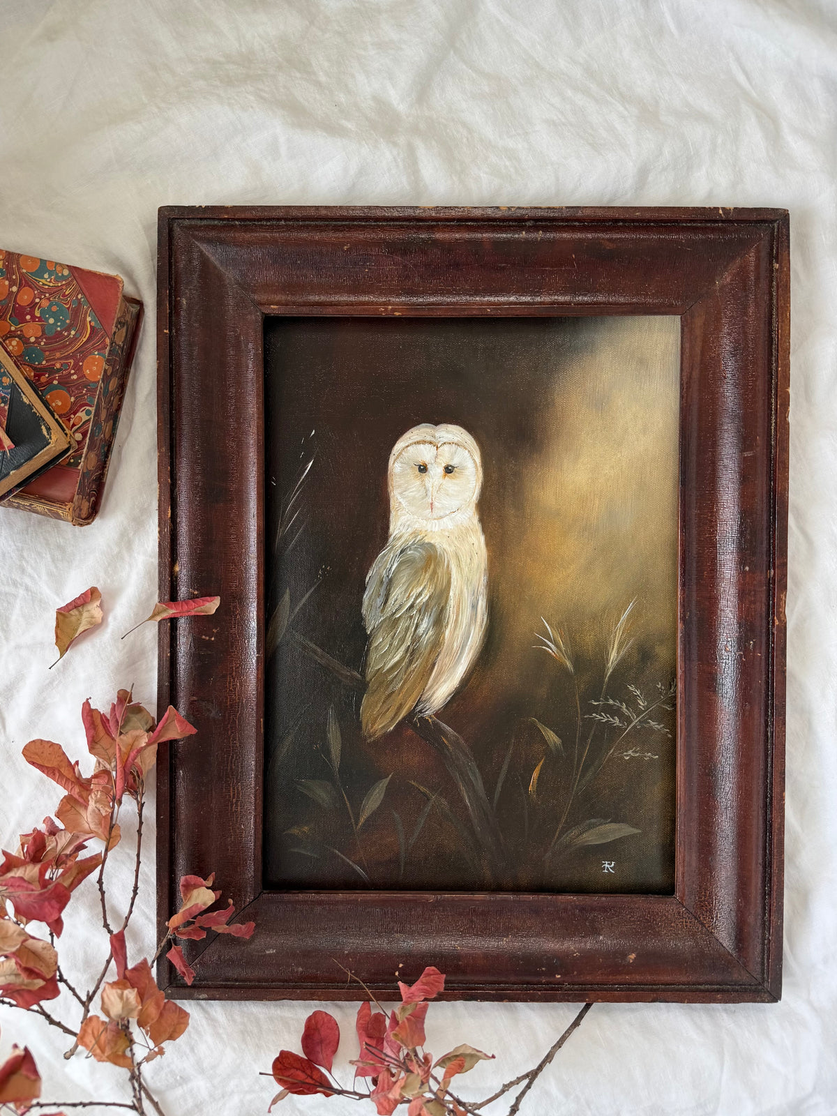 The Owl