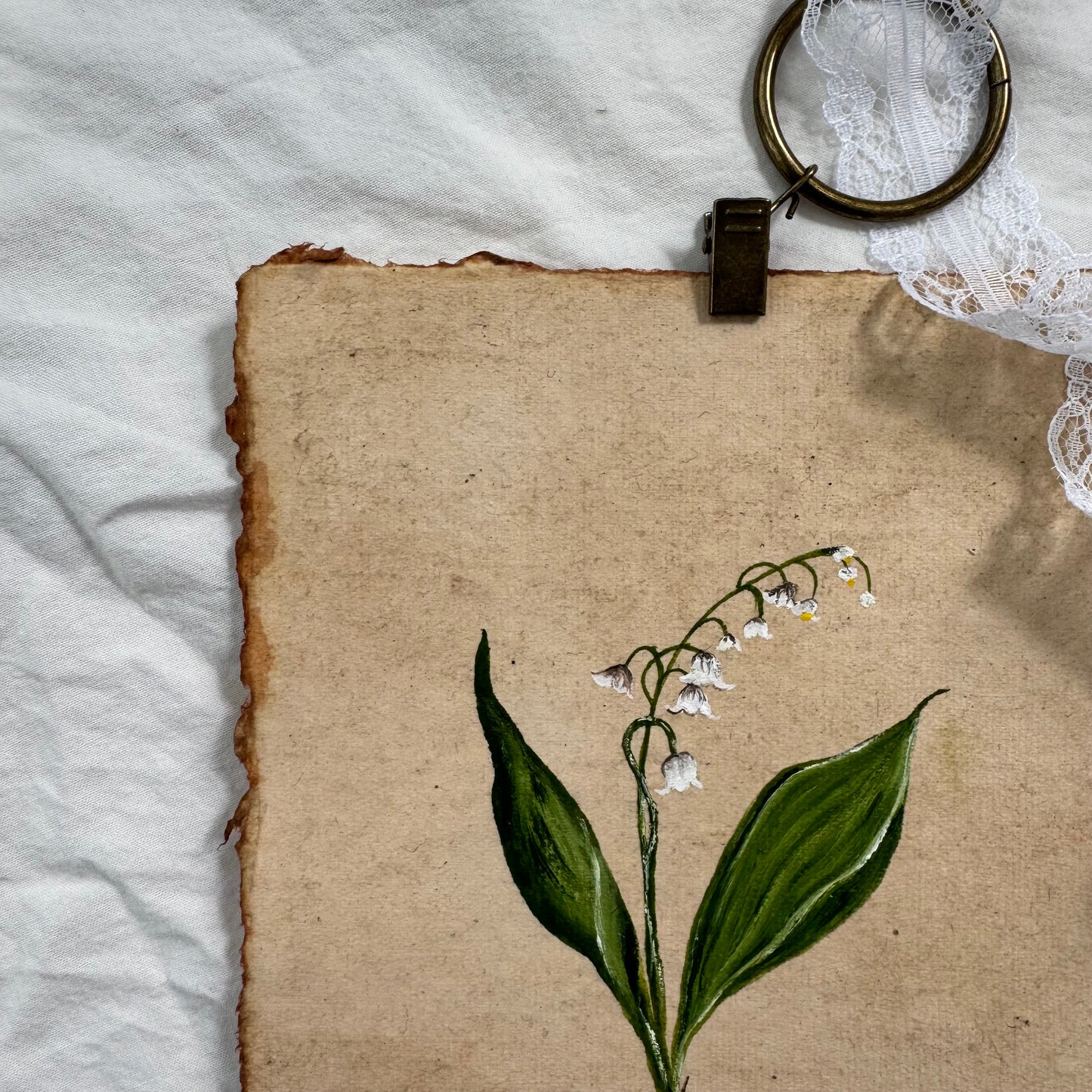 Muguet