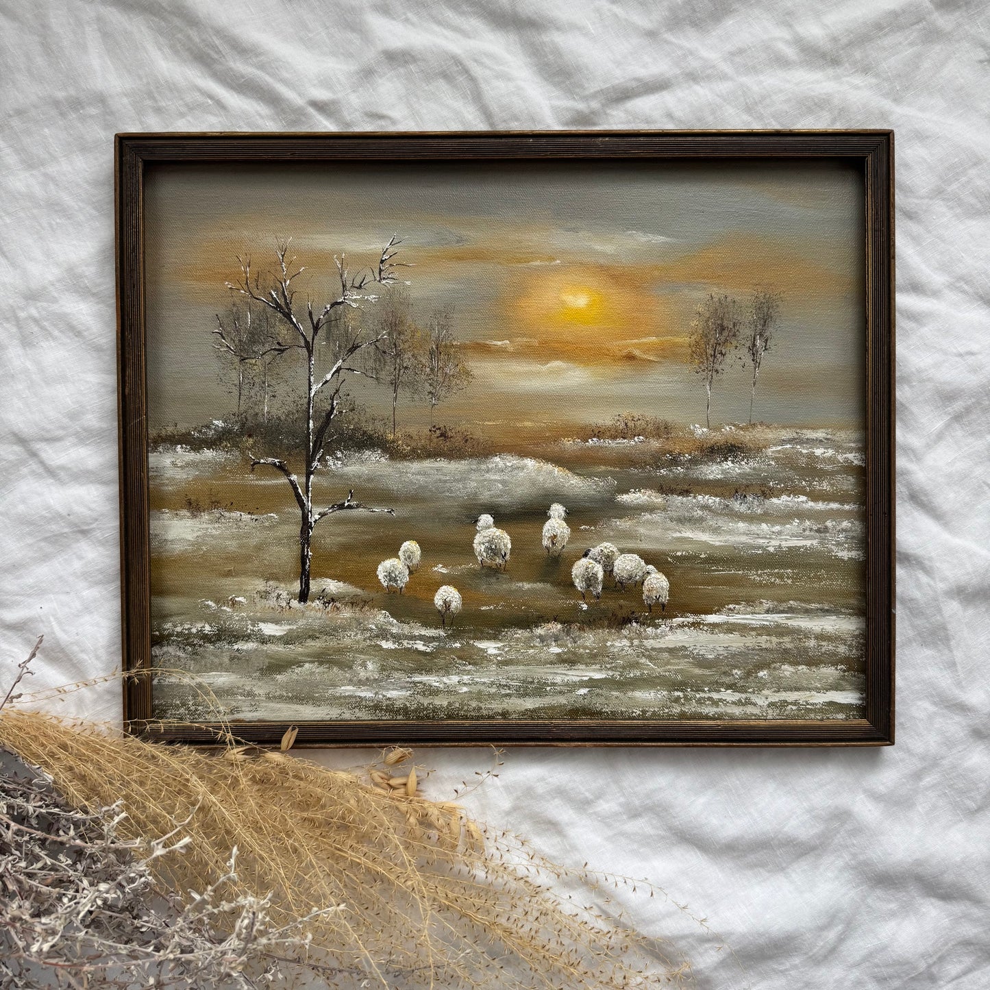 Première neige des moutons