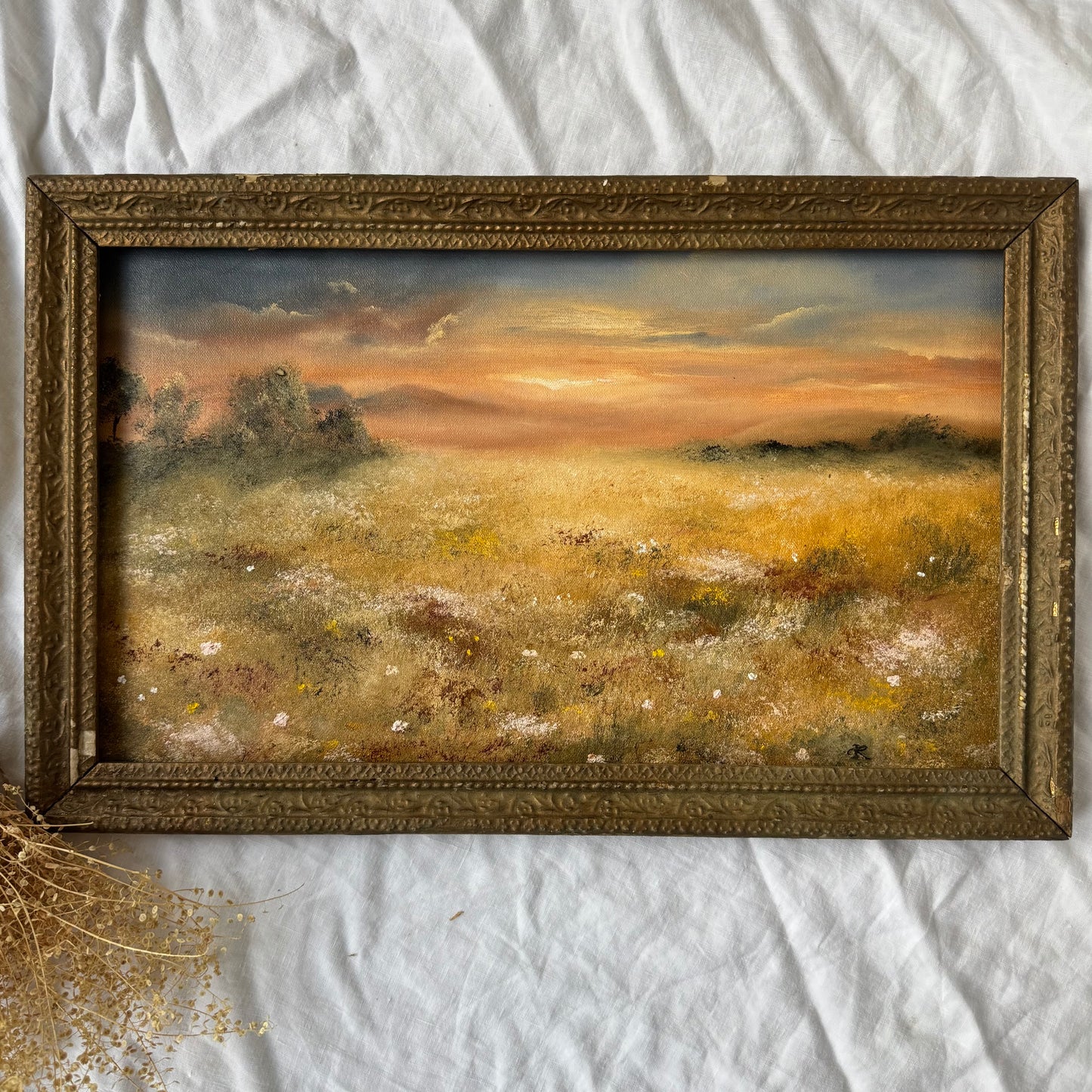 Champs au crépuscule