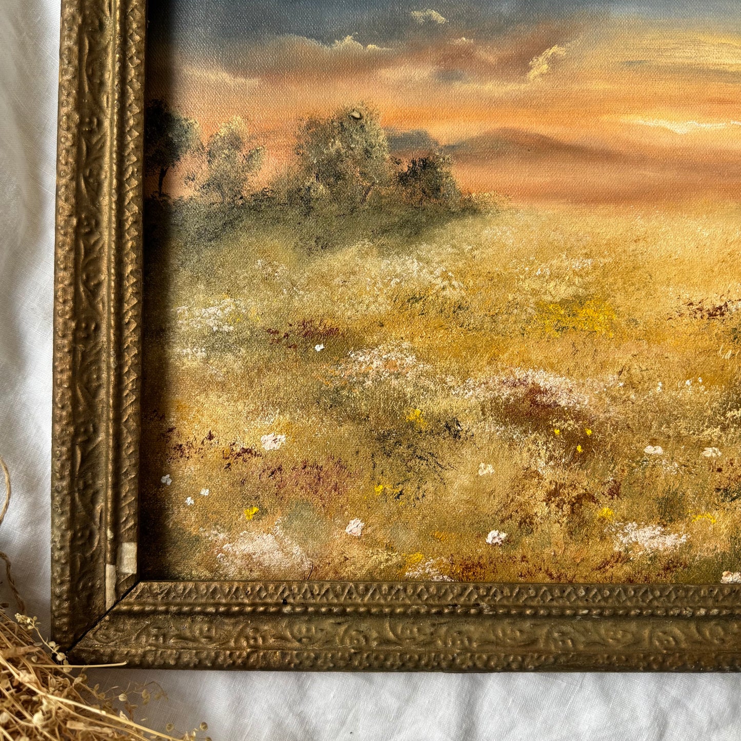 Champs au crépuscule