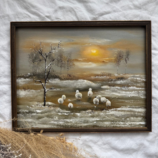 Première neige des moutons