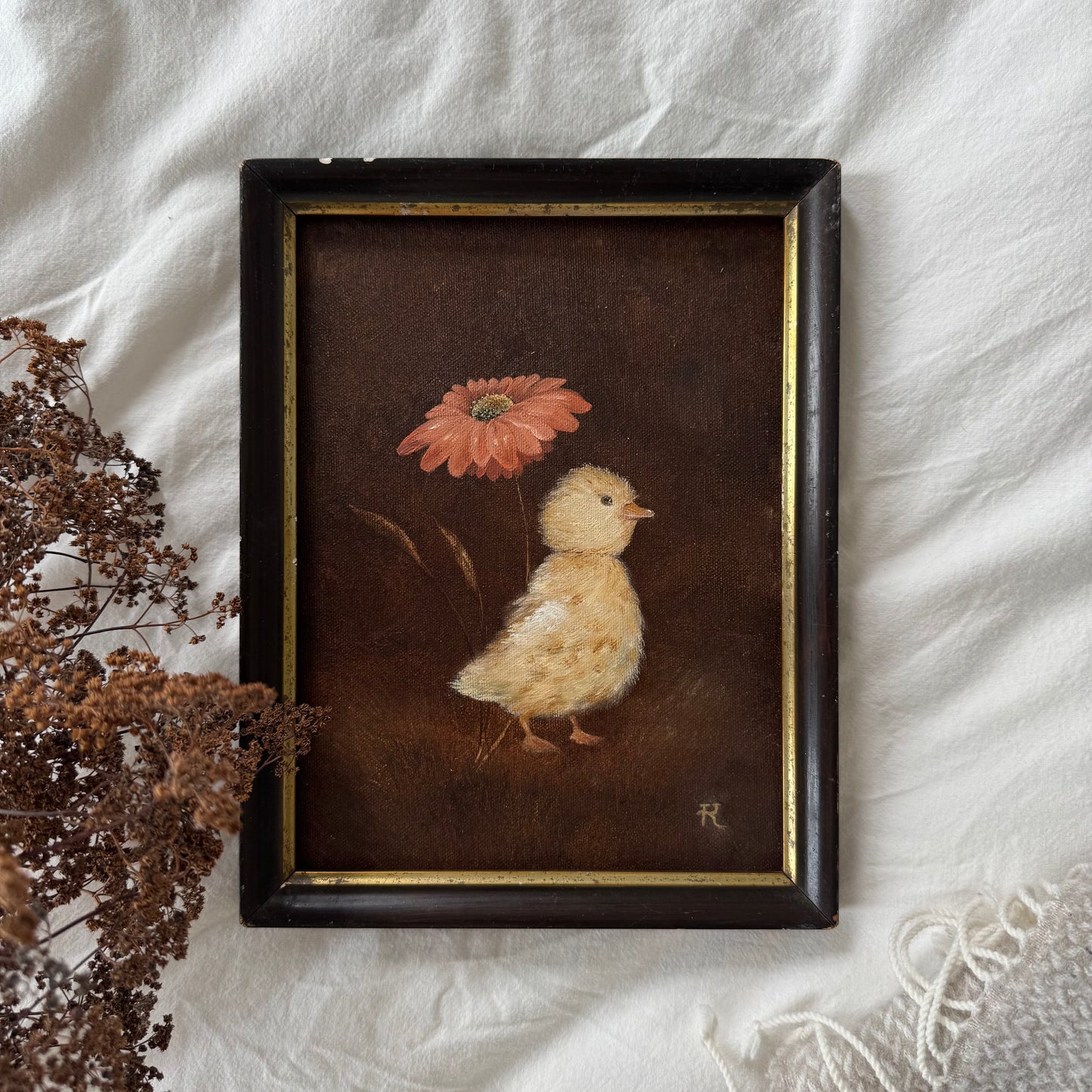 Under the gerbera bloom(11 x 8.75 in)