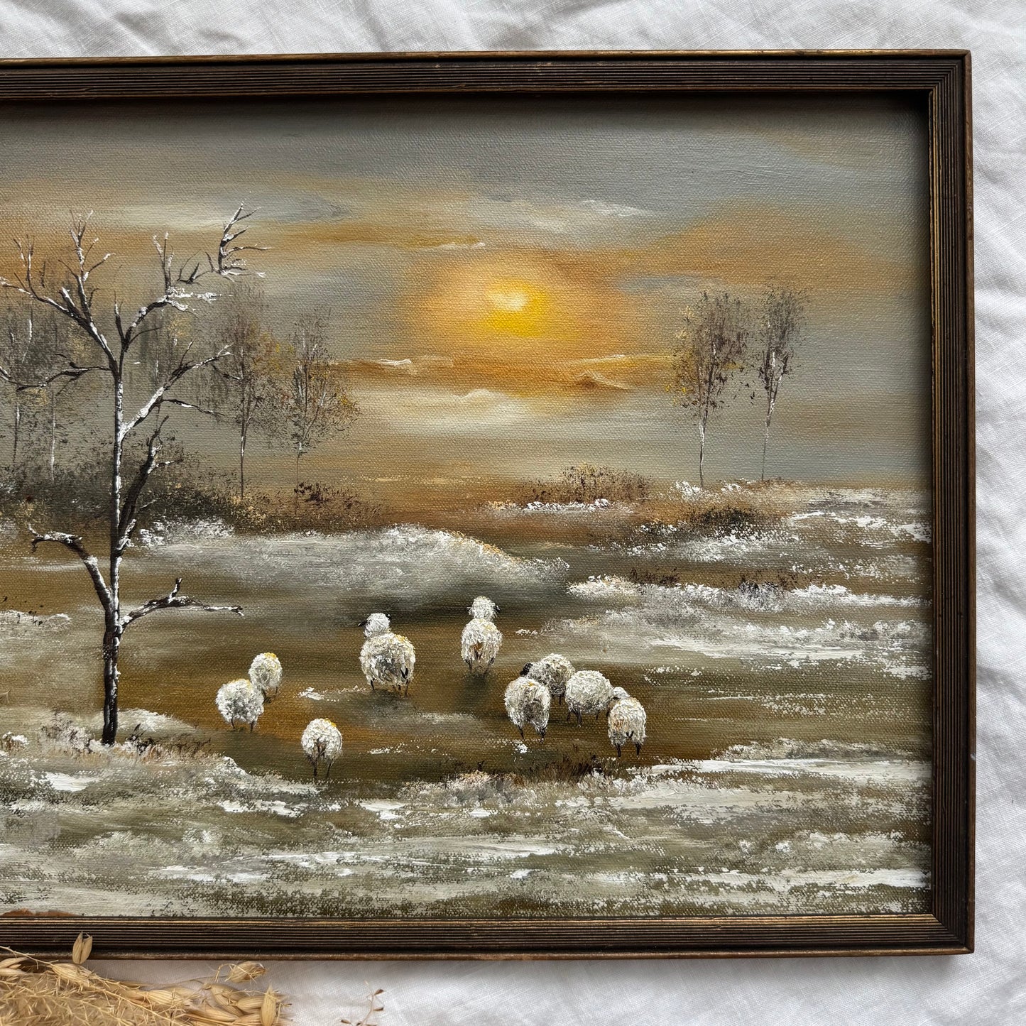 Première neige des moutons