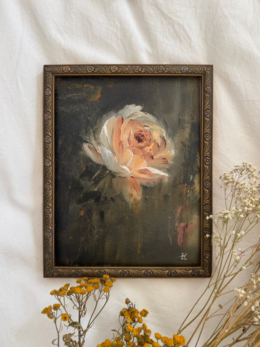 Old Garden rose (9.75 x 7.75 po)