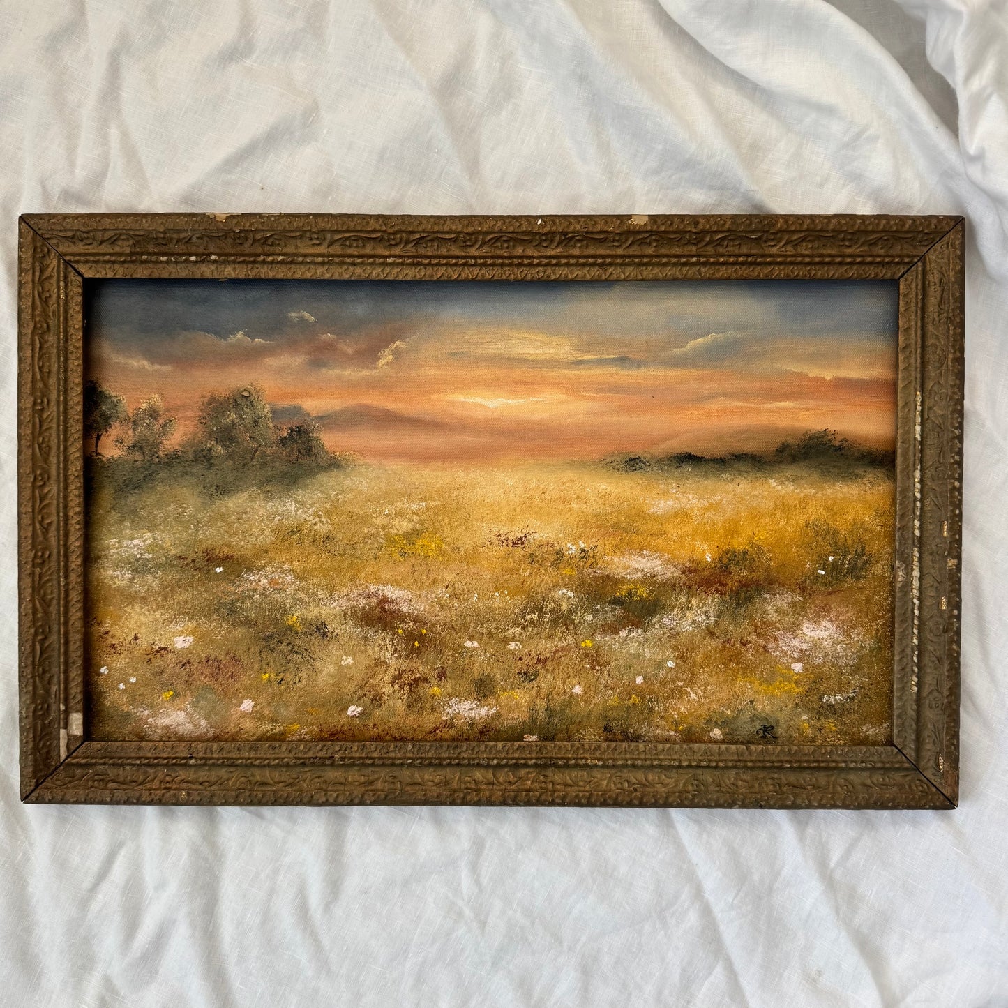 Champs au crépuscule