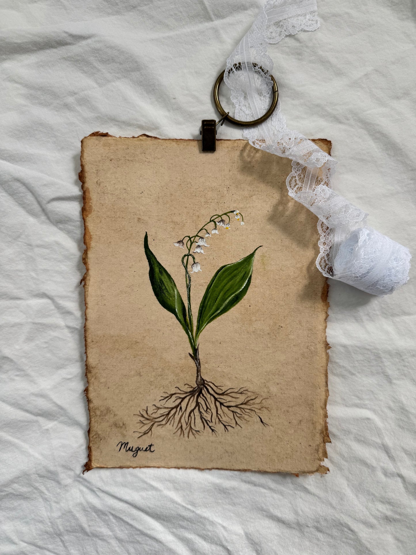 Muguet