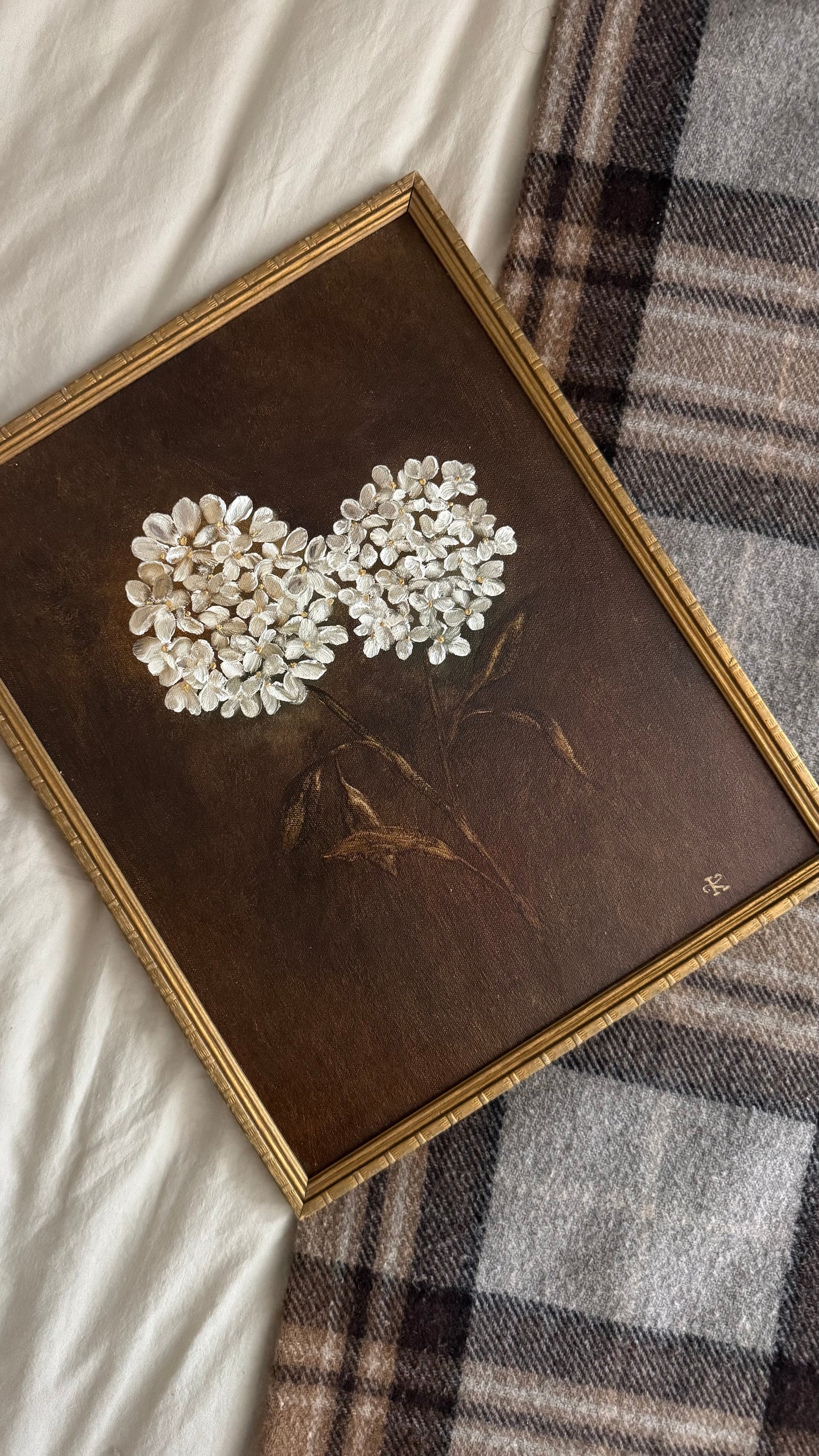 Hydrangea d’automne