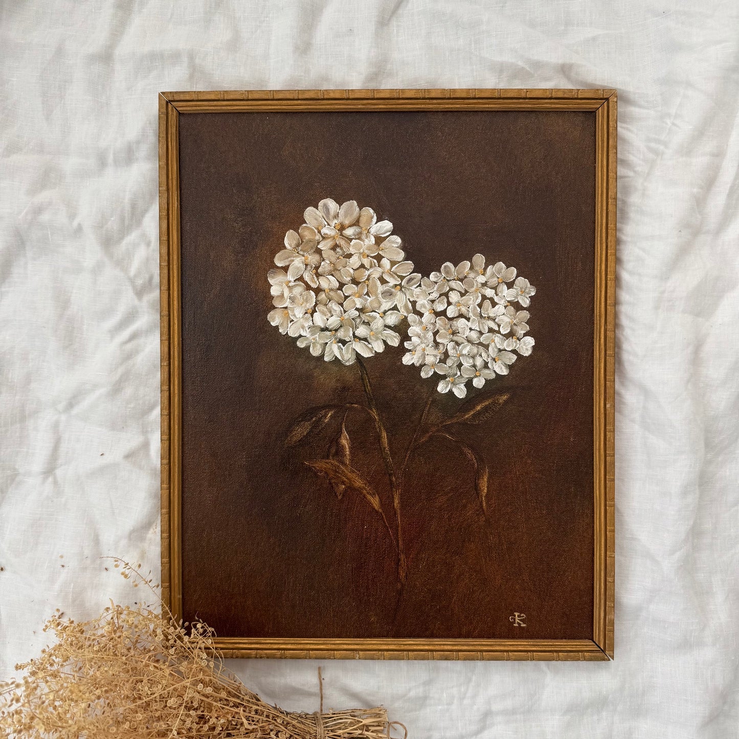 Hydrangea d’automne