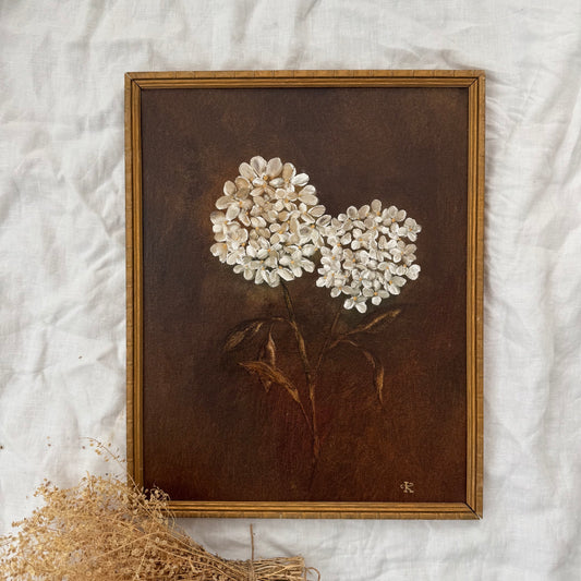 Hydrangea d’automne