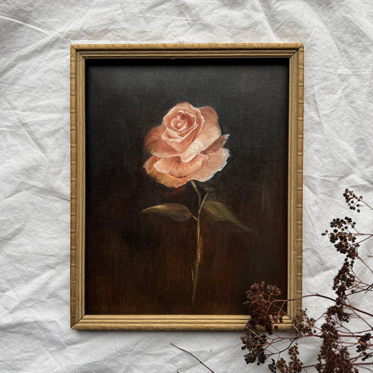 My rose #1