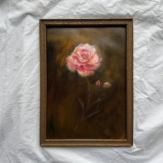 My rose
